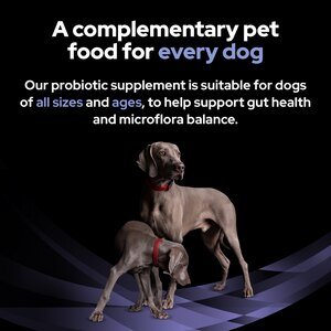 Pro Plan FortiFlora Canine Probiotic 30 x 1g
